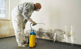 Best Industrial Mold Remediation  in Emigsville, PA